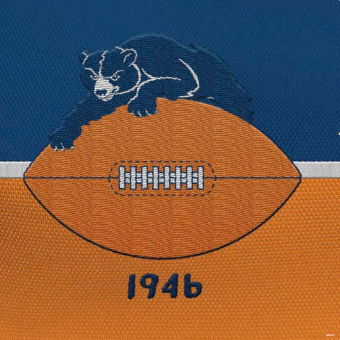 NFL Chicago Bears Vintage PS4 Console Skin