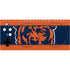 NFL Chicago Bears Zone Block Xbox Adaptive Controller Skin