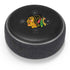 NHL Chicago Blackhawks Distressed Amazon Echo Dot Skin