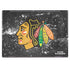 NHL Chicago Blackhawks Frozen HP Envy Skin