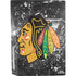 NHL Chicago Blackhawks Frozen PS5 Bundle Skin