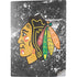 NHL Chicago Blackhawks Frozen PS5 Digital Edition Console Skin