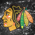 NHL Chicago Blackhawks Frozen HP Spectre Skin