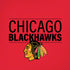 NHL Chicago Blackhawks Lineup iPhone XR Skin