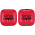 NHL Chicago Blackhawks Lineup PowerBeats Pro Skin