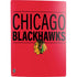 NHL Chicago Blackhawks Lineup PS5 Digital Edition Bundle Skin