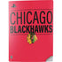 NHL Chicago Blackhawks Lineup PS5 Digital Edition Console Skin