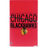 NHL Chicago Blackhawks Lineup PS5 Slim Digital Edition Console Skin