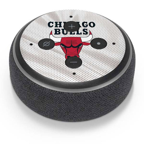 NBA Chicago Bulls Away Jersey Amazon Echo Dot Skin