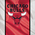 NBA Chicago Bulls Away Jersey iPhone XS Skin