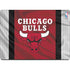 NBA Chicago Bulls Away Jersey MacBook Pro 14in (2021-24) Skin