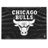NBA Chicago Bulls Black Animal Print HP Envy Skin