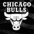NBA Chicago Bulls Black Animal Print Galaxy Note 8 Skin