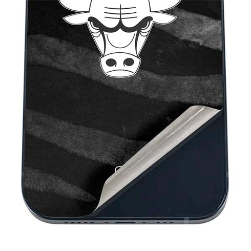 NBA Chicago Bulls Black Animal Print iPhone 12 Mini Skin