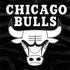 NBA Chicago Bulls Black Animal Print Legion Y720 Skin
