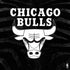 NBA Chicago Bulls Black Animal Print PS4 Pro/Slim Controller Skin