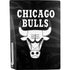 NBA Chicago Bulls Black Animal Print PS5 Bundle Skin