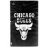 NBA Chicago Bulls Black Animal Print PS5 Slim Disk Bundle Skin