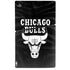 NBA Chicago Bulls Black Animal Print PS5 Slim Digital Edition Console Skin