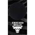NBA Chicago Bulls Black Animal Print Xbox Series S Skins