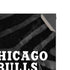 NBA Chicago Bulls Black Animal Print Xbox Series X Console Skin