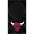 NBA Chicago Bulls Black Distressed Xbox Series S Skins