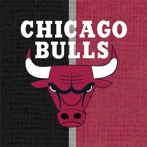 NBA Chicago Bulls Canvas Nintendo 2DS XL (2017) Skin