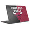 NBA Chicago Bulls Canvas HP Envy Skin