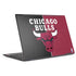 NBA Chicago Bulls Canvas HP Envy Skin
