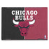 NBA Chicago Bulls Canvas HP Envy Skin