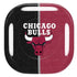 NBA Chicago Bulls Canvas Galaxy Buds Pro Skin