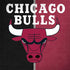 NBA Chicago Bulls Canvas Galaxy Note 8 Skin