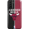 NBA Chicago Bulls Canvas Galaxy S21 FE Pro Case