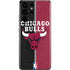NBA Chicago Bulls Canvas Galaxy S21 Ultra 5G Skin