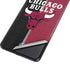 NBA Chicago Bulls Canvas Galaxy S21 Ultra 5G Skin