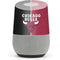 NBA Chicago Bulls Canvas Google Home Skin