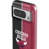 NBA Chicago Bulls Canvas Google Pixel 8 Pro Impact Case