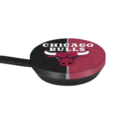 NBA Chicago Bulls Canvas Google Stadia Controller Skin
