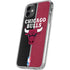 NBA Chicago Bulls Canvas iPhone 11 Clear Case