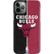 NBA Chicago Bulls Canvas iPhone 11 Pro Lite Case