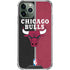 NBA Chicago Bulls Canvas iPhone 11 Pro Max Clear Case