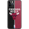 NBA Chicago Bulls Canvas iPhone 11 Pro Skin