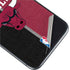 NBA Chicago Bulls Canvas iPhone 11 Skin