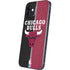 NBA Chicago Bulls Canvas iPhone 12 Mini Skin