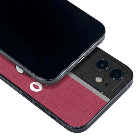 NBA Chicago Bulls Canvas iPhone 12 Mini Skin