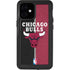 NBA Chicago Bulls Canvas iPhone 12 Mini Waterproof Case