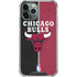 NBA Chicago Bulls Canvas iPhone 12 Pro Clear Case