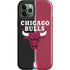 NBA Chicago Bulls Canvas iPhone 12 Pro Impact Case