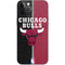 NBA Chicago Bulls Canvas iPhone 12 Pro Max Skin