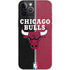 NBA Chicago Bulls Canvas iPhone 12 Pro Max Skin